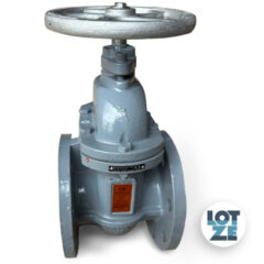 Pumpen-Keilflachschieber