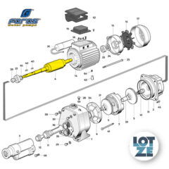 Welle 230 Volt für FORAS Pumpen JA/CAB 200