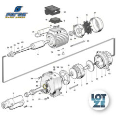 Dichtung Gussinjektor für FORAS Pumpen JA/CAB 150 - 300